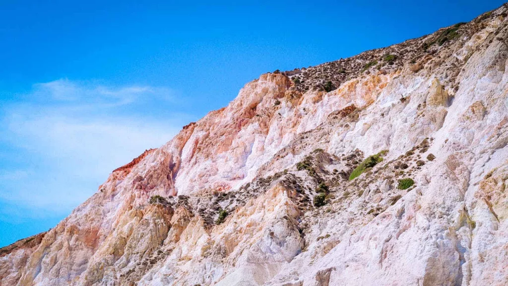 pexels photo 17125435